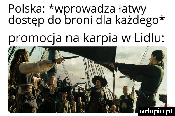 polska wprowadza łatwy dostęp do broni dla każdego promocja na karpia w lidlu i