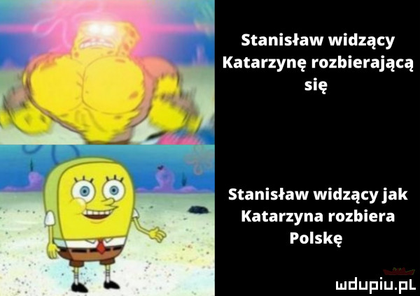 stanisław widzący katarzynę rozbierającą się stanisław widzący jak katarzyna rozbiera polskę