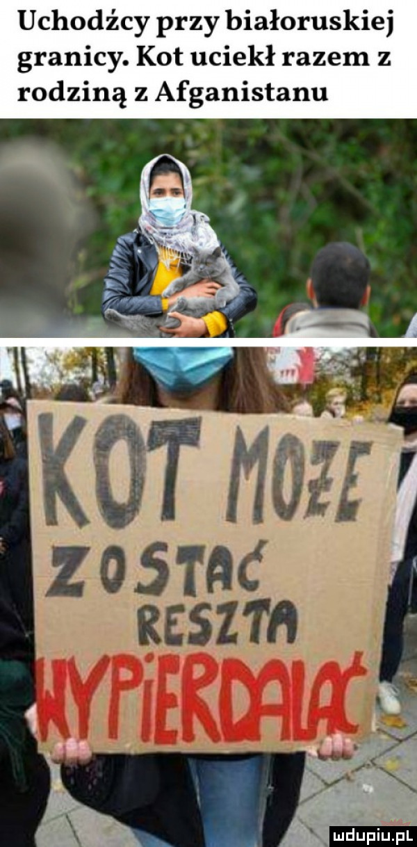 uchodźcy przy białoruskiej granicy. kot uciekł razem z rodziną z afganistanu