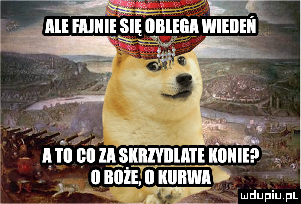 ąkli eli znsxnzvmm mm onoziolmnwi b ludupiu. pl