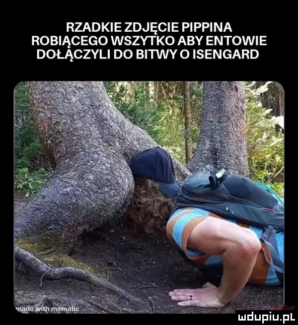 rzadkie zdjęcie pippina robiącego wszytko aby entowie dołączyli do bitwy o isengard ludupiu. pl