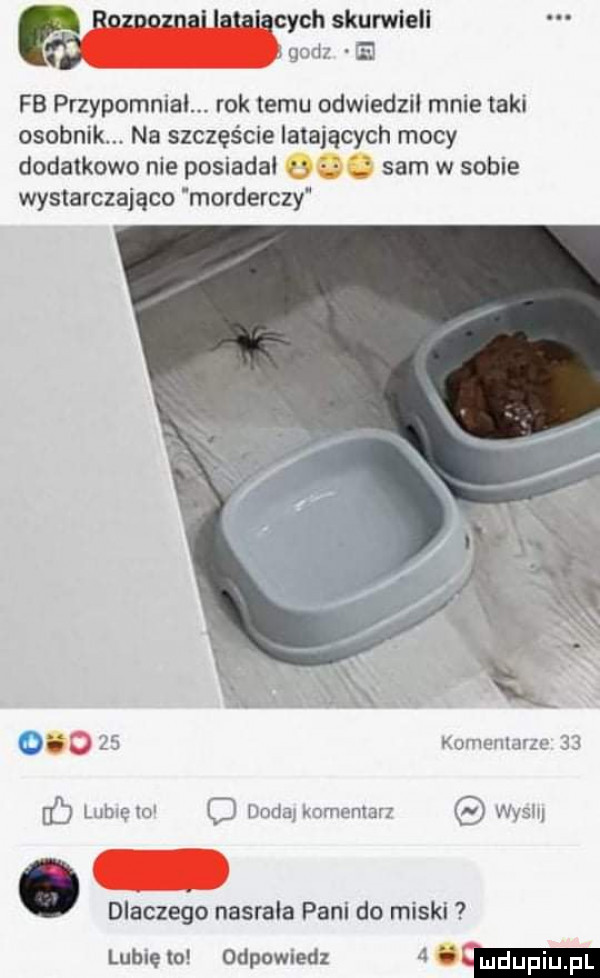 wisk im ki    f  przypomnial. rok temu odwiedził mnie taki osobnik na szczęście latających mocy dodatkowo nie posiadał  . sam w sobie wystarczająco morderczy kiwu wdwu wm m gmfz m. dlaczego nasrala pani do miski lubie to odpowiedz   w