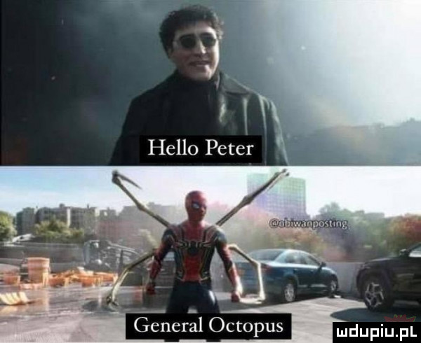 geńergl octopus