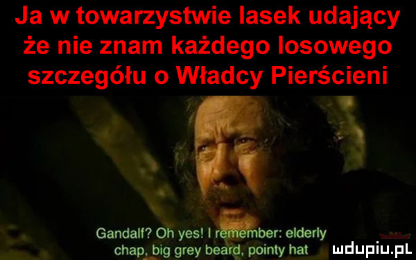 ja w towarzystwie lasek udający że nie znam każdego losowego szczegółu o władcy pierścieni ganiali oh yes i elderly chapkbig gray pointy hoi mduplu pl
