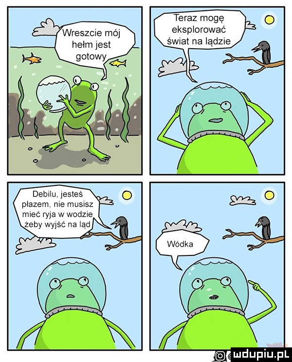 teraz mogę eksp orowaé świat na iądzle debilu jesteś mezem me musisz mieć ryja w wodne zeby wyjąc na lad