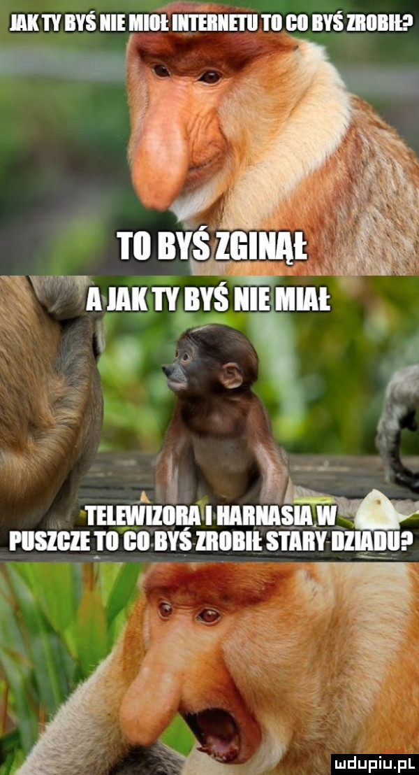iii iv iyś ice iii u m to ihs mobil w mś za a wa ia byś iiimaiai   marnym mam numvuconvsmonltsm mm m