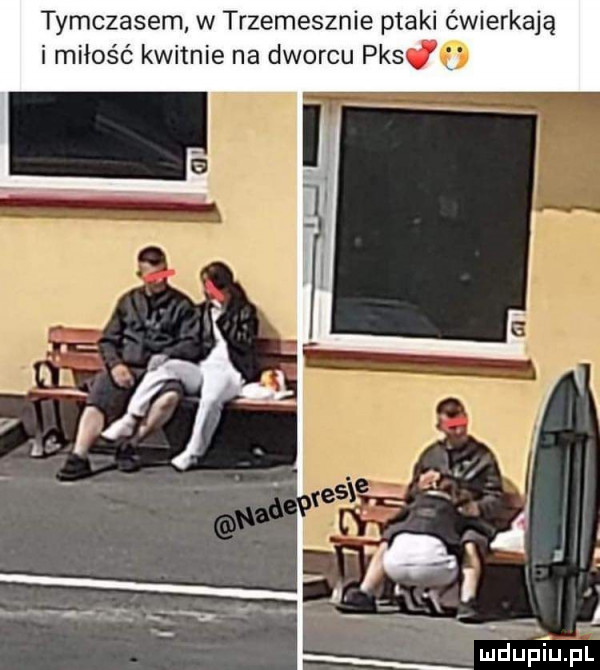 czasem w trzemesznie ptaki ćwierkają i miłość kwitnie na dworcu pks w. mdupiujul