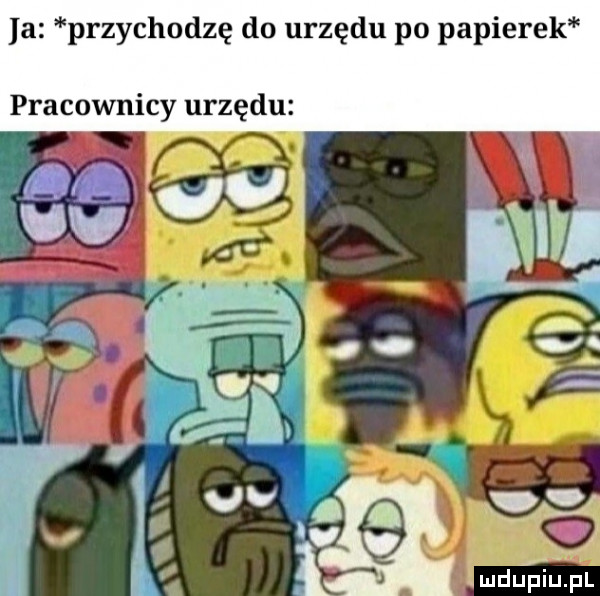 ia przychodzę do urzędu po papierek pracownicy urzędu