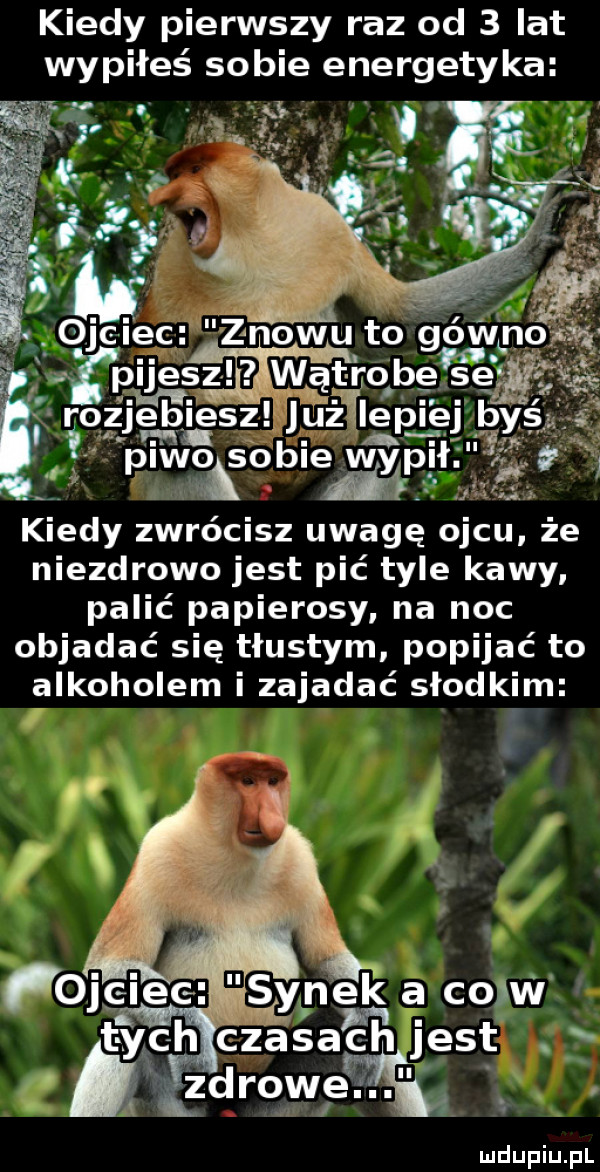 kiedy pierwszy raz od   lat wypiłeś sobie energetyka h qjci c znowu to gówno i fpues w q t iobe saj s   jeśłiesz juziileplejlbys w piwofobiey w if. j j. kiedy zwrócisz uwagę ojcu że niezdrowo jest pić tyle kawy palić papierosy. na noc objadać się tłustym popijać to alkoholem i zajadać słodkim o c ec synek a com t ych ćzaśach jest. v. zdroweja