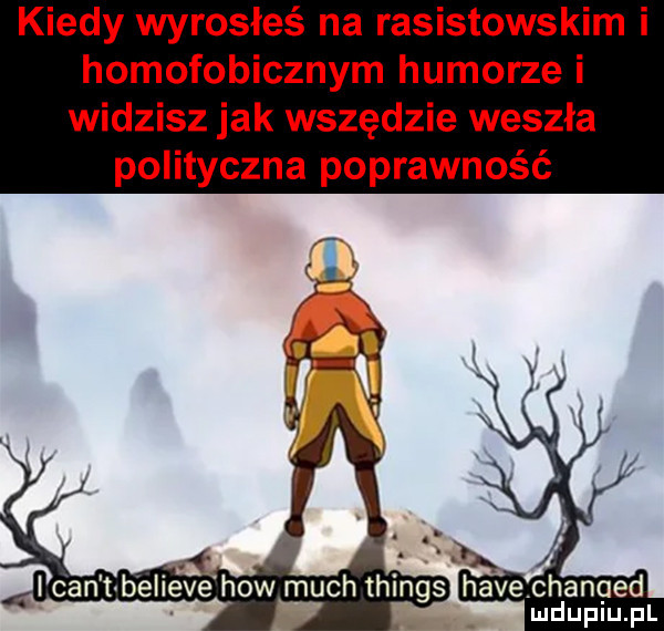 kiedy wyrosłeś na rasistowskim i homofobicznym humorze i widzisz jak wszędzie weszła polityczna poprawność cant believe hiw much things havechanaed ludupiu. pl