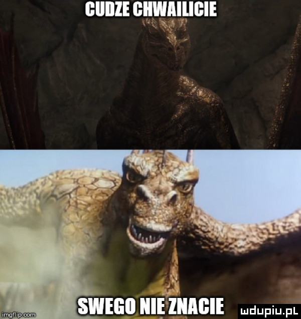 swig iliom