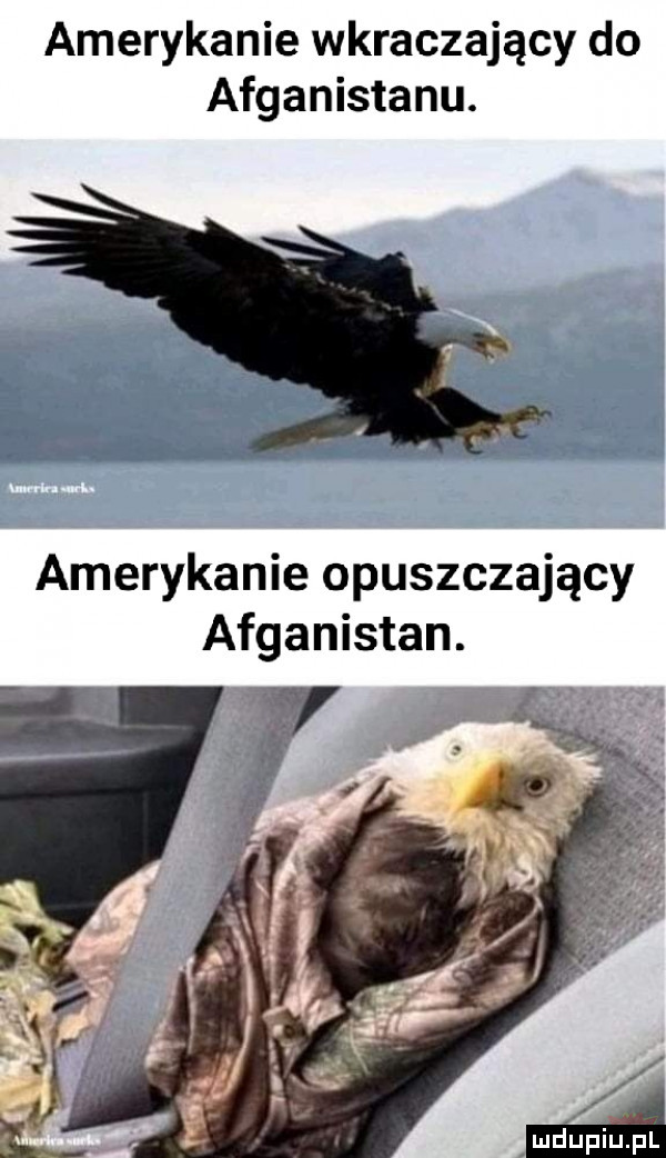 amerykanie wkraczający do afganistanu. amerykanie opuszczający afganistan. f v