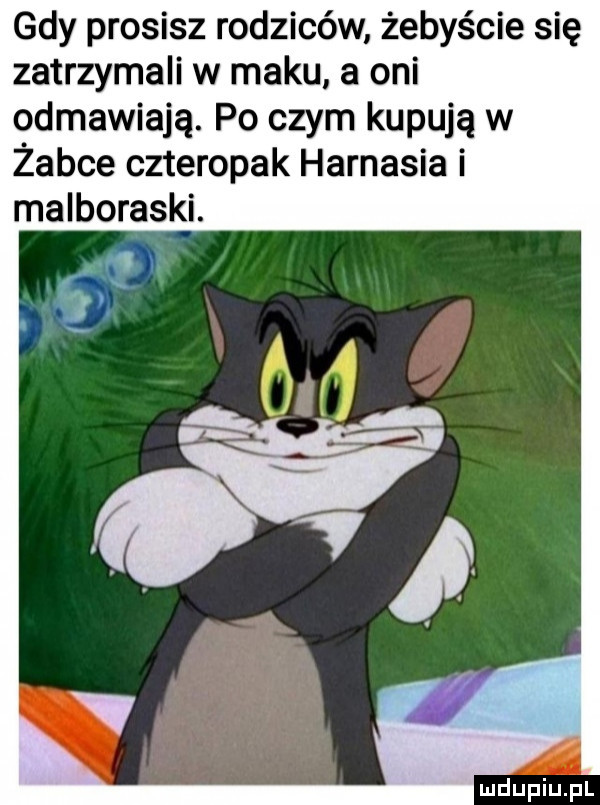 gdy prosisz rodziców żebyście się zatrzymali w maku. a oni odmawiają. po czym kupują w żabce czteropak harnasia i maiboraski