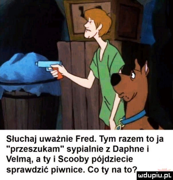 sluchaj uważnie fred. tym razem to ja przeszukam sypialnie daphne i velmą a ty i scoopy pójdziecie sprawdzić piwnice. co ty na to