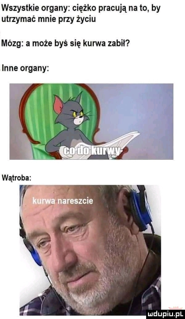 wszystkie organy ciężko pracują na to by utrzymać mnie przy życiu mózg a może byś się kurwa zabił inne organy