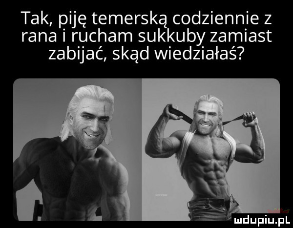 tak piję temerską codziennie z rana i rucham sukkuby zamiast zabijać skąd wiedziałaś