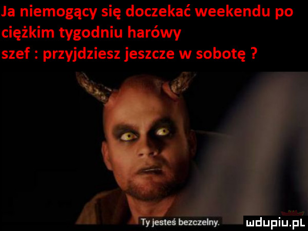 ja niemogący się doczekać weekendu po ciężkim tygodniu harówy szef przyjdziesz jeszcze w sobotę mdupiiuiplż