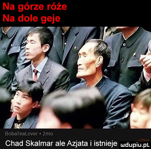 na górze róże na dole geje hhhuh uh ww va chad skalmar ale azjata i istnieje dupqul