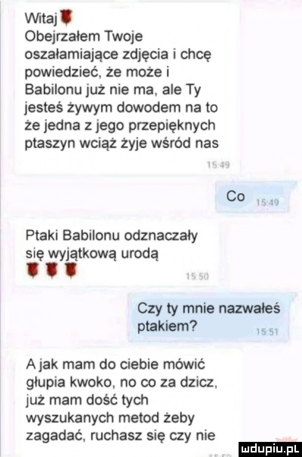 vintaj obejrzałem twoje oszałamiające zdjęcia i chcę powiedzieć. że może i babilonu już nie ma. ale ty jesteś żywym dowodem na to że jedna z jego przepięknych ptaszyn wciąz żyje wśród nas co ptaki babilonu odznaczały się wyjątkową urodą i i czy ty mnie nazwałeś ptakiem j abak mam do ciebie mówić głupia kwoko. no co za dzicz już mam dość tych wyszukanych metod żeby zagadać ruchasz się czy nie ludu iu. l