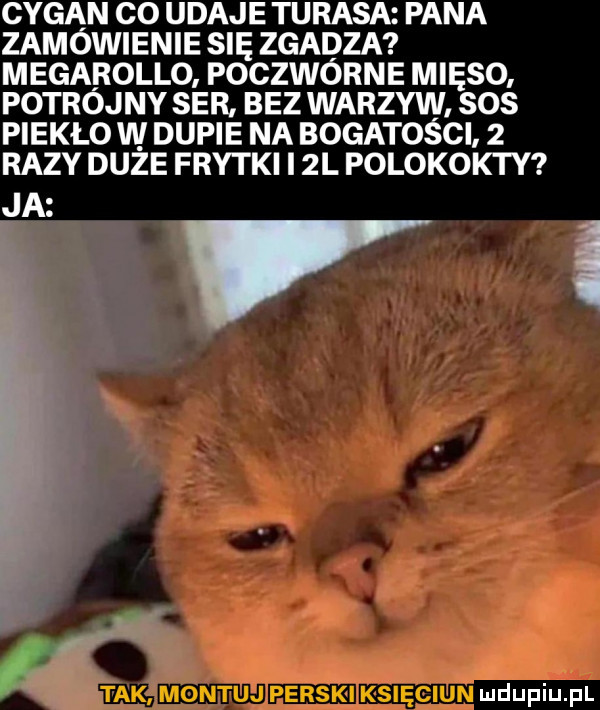 cygan co udaje tarasa pana zamówienie się zgadza megarollo poczwórne mięso potrójny ser bez warzyw sos piekło w dupie na bogatości   razy duże frytki i  l polokokty ja    i tak montuj perski księciun
