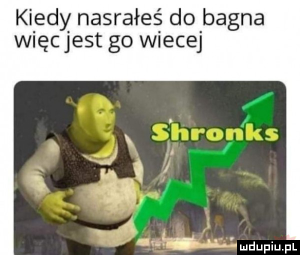kiedy nasrałeś do bagna więc jest go wiecej ufał lmdupiupl