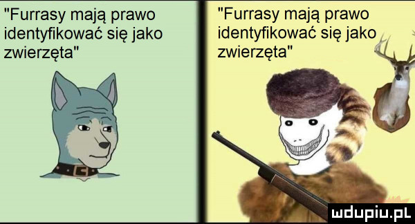 furrysy mają prawo identyfikować się jako zwiemęta furrysy mają prawo identyfikować się jako zwiemęta