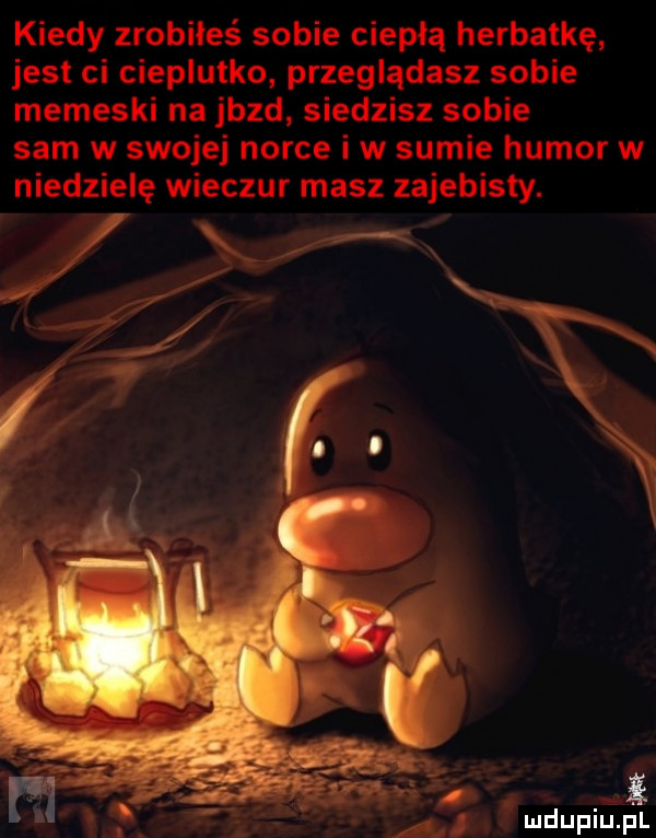 kiedy zrobiłeś sobie ciepłą herbatkę jest ci cieplutko przeglądasz sobie memeski na jazd siedzisz sobie sam w swojej norce i w sumie humor w niedzielę wilczur masz zajebisty. x i r
