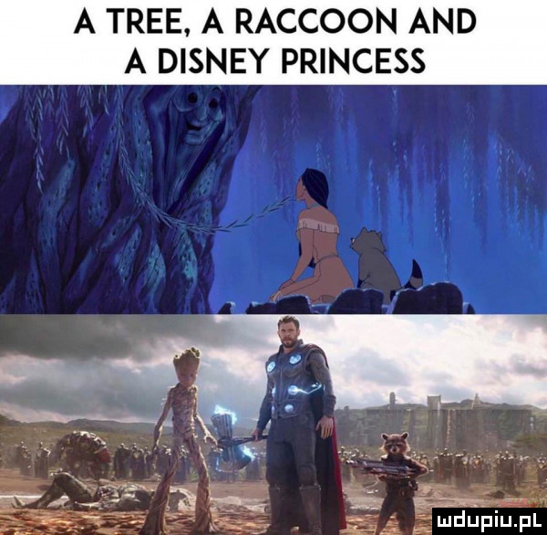 a trze. a raccoon and a disney princess