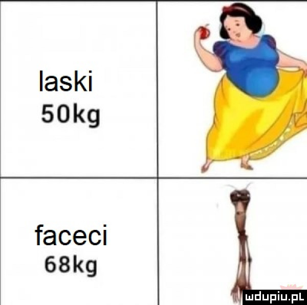 ilski   kg faceci   kg