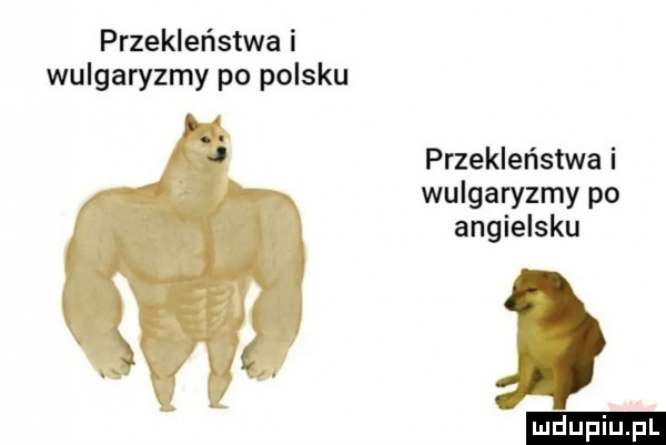 przekleństwa i wulgaryzmy po polsku przekleństwa i wulgaryzmy po angielsku ludu iu. l