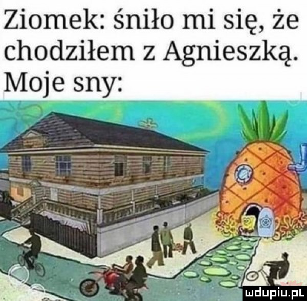 ziomek śniło misię że chodziłem z agnieszką. moje sny