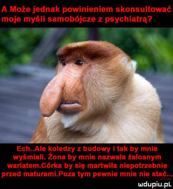 a może jednak posinieniem skonsultować moje myśli samobójcze z psychiatrą ech abe koledzy z budowy i tak by mnie wyśmiali. żona by mnie nazwała żałosnym wariatem córka by się martwiła niepotrzebnie przed matummipoza tym pewnie mnie nie stać