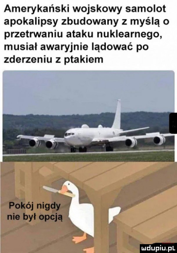 amerykański wojskowy samolot apokalipsy zbudowany z myślą o przetrwaniu ataku nuklearnego musial awaryjnie lądować po zderzeniu z ptakiem pokój nag ł nie bylopćją