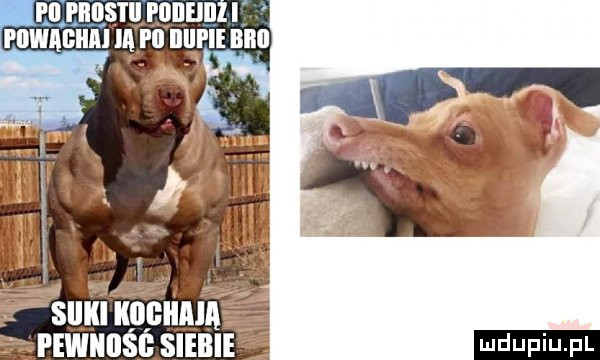 i ll i iiiis i ii ędiieii i piihagiim ia p  ijiii ie bmi nvinnśf siebie