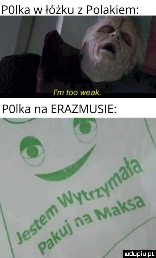 plika w łóżku z polakiem i m tao wiak. plika na eraziviusie ludu iu. l