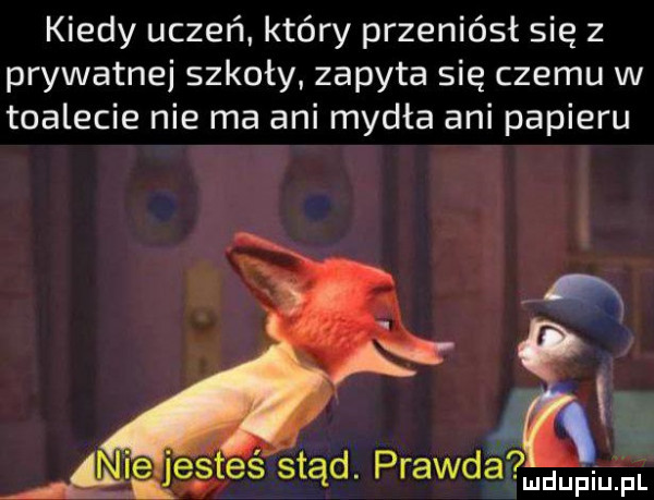 kiedy uczeń który przeniósł się z prywatnej szkoły zapyta się czemu w toalecie nie ma ani mydła ani papieru ie es es stąd prawda up fl