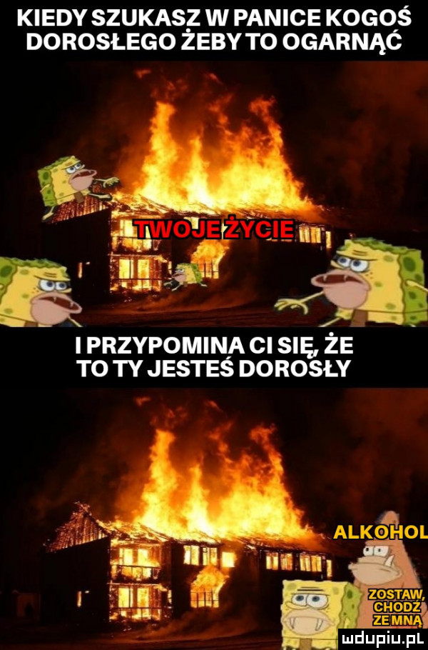 kiedy szukasz w panice kogoś dorosłego żeby to ogarnąó przypomina cl się że to ty jestes dorosly mdupiui pl