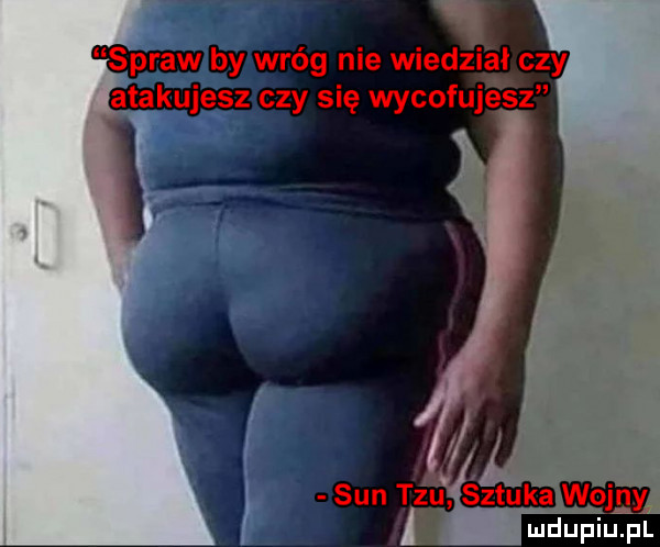 ludupiujai