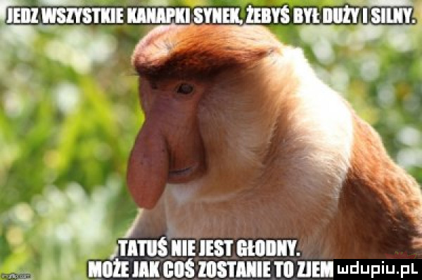 elan     le um v  . mm iiieiesi ehiiiiv. unmmnś msmumum udupiu pl