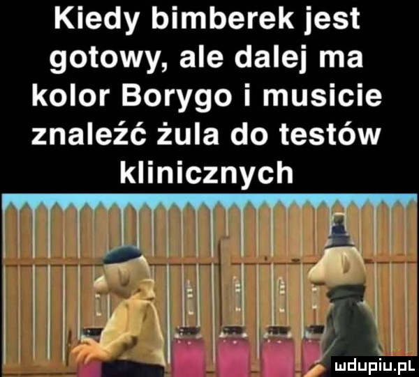 kiedy bamberek jest gotowy ale dalej ma kolor boryno i musicie znaleźć żuka do testów klinicznych