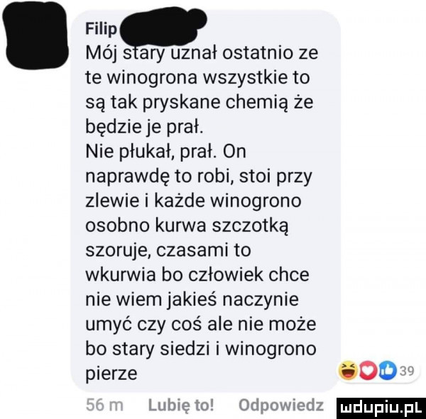 mój   ary uznał ostatnio ze te winogrona wszystkie to są tak pryskane chemią że będzie je prał. nie płukał. prał. on naprawdę to robi stoi przy zlewie i każde winogrono osobno kurwa szczotką szoruje czasami to wkurwia bo człowiek chce nie wiem jakieś naczynie umyć czy coś ale nie może bo stary siedzi i winogrono pierze      lubleto odpowiedz