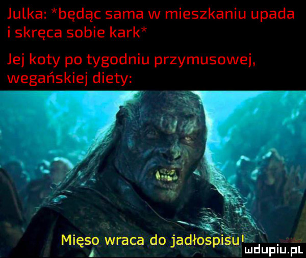 julka będąc sama w mieszkaniu upada i skręca sobie kark jej koty po tygodniu przymusowej wegańskiej diety