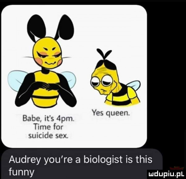 y. babe it s  pm es queen time for suxcide sex audrey y-u re a biologist is tais finny