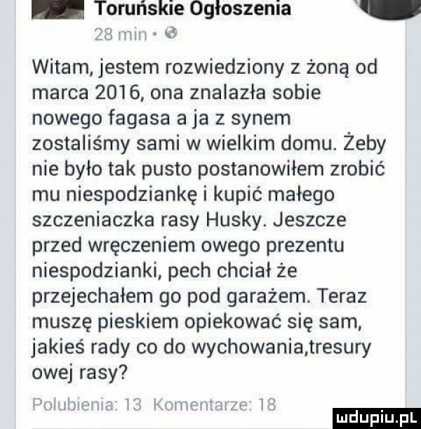 toruńskie ogloszenia    nm witam jestem rozwiedziony z żoną od marca      ona znalazła sobie nowego fagasa a ja z synem zostaliśmy sami w wielkim domu. żeby nie było tak pusto postanowiłem zrobić mu niespodziankę i kupić małego szczeniaczka rasy husky. jeszcze przed wręczeniem owego prezentu niespodzianki pech chciał że przejechałem go pod garażem. teraz muszę pieskiem opiekować się sam jakieś rady co do wychowania tresury owej rasy palmy fana l mammalian   h ludu iu. l