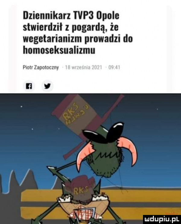 dziennikarz tvp  opole stwierdził z pogardą za wegetarianizm prowadzi do homoseksualizmu wan zapotoczny il