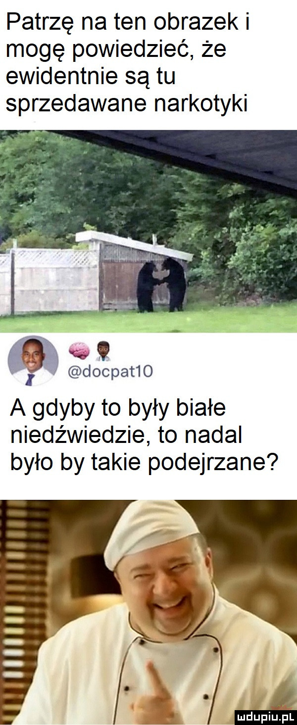 patrzę na ten obrazek i mogę powiedzieć że ewidentnie są tu sprzedawane narkotyki   gg dorpat   a gdyby to były białe niedźwiedzie to nadal było by takie podejrzane