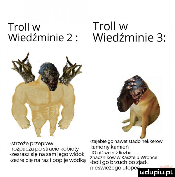 troll w troll w wiedźminie   wiedźminie   w leże  me mime go nawet stado nekkerow rrozpacza po stracie kobiety laminy kamień io niższe niż iiczba zesrasz się na sam jego widok znaczników w kasztelu wronce rzeżże cię na razi popije wódką bo go brzuch bo zjadl nieświeżego mopem