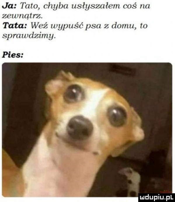 ja tato chyba usłyszałmn coś ila zewnątrz. tata waż my sprawdzimy. psa z domu to pies