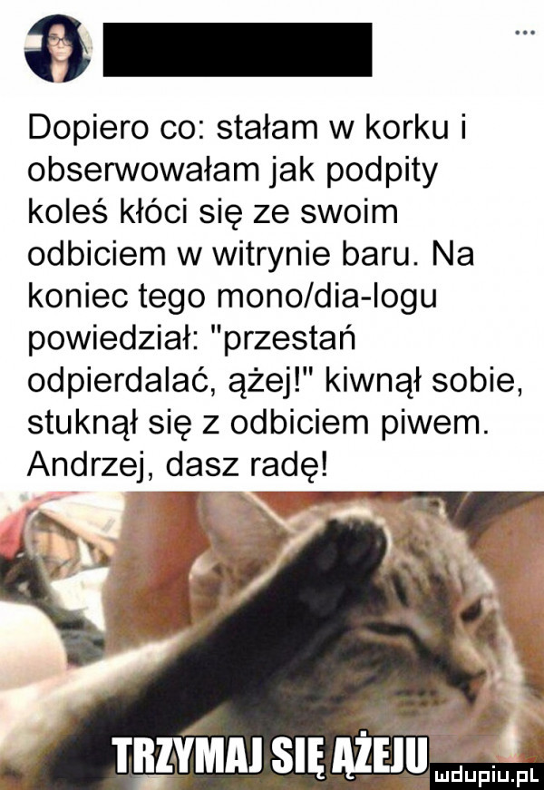 a dopiero co stałam w korku i obserwowałam jak podpity koleś kłóci się ze swoim odbiciem w witrynie baru. na koniec tego mono dba iogu powiedział przestań odpierdalać ążej kiwnął sobie stuknął się z odbiciem piwem. andrzej dasz radę raz vba semik xv mdupiupi