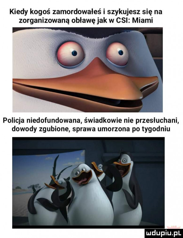 kiedy kogoś zamordowałeś i szykujesz się na zorganizowaną obławę jak w cgi miami policja niedyfundowana świadkowie nie przesłuchani dowody zgubione sprawa umorzona po tygodniu